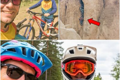 They Vanished Mountain Biking at Lake Tahoe, 5 Years Later This Is Found on 160ft Cliff…