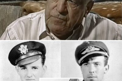 The Adversary Who Became a Brother: The 43-Year Search for an Act of Mercy in the Skies of WWII