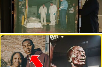 A Mother’s Nightmare: How a Museum Exhibit Revealed the Fate of Her Missing Son After 25 Years of Silence