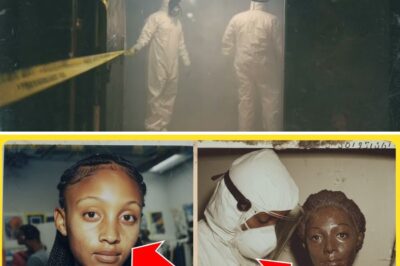 The Model Who Never Left: How a Janitor Exposed a 20-Year Secret Hidden in a Showroom Window