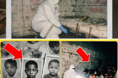 The Basement Detective: How One Retired Cop’s Obsession Exposed an Invisible Network and Brought Chicago’s Lost Children Home