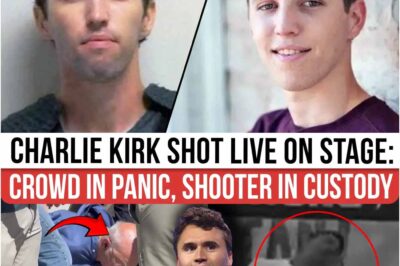 SOMEONE INTERFERED! Unnoticed Flashing: Fan Video Exposes Strange Behind-the-scenes Light Moment