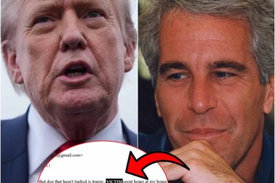 Exclusive: Epstein Emails Shed Light on Trump’s Connection to Epstein V!ctims