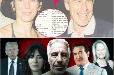 Haunting Secrets of the Elite: Inside the Epstein Files That Expose the Hidden World of Power – SYMBOLIZE THE D!SGUSTING ROOTS