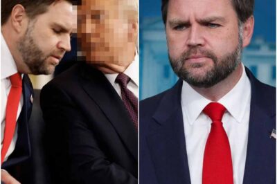 JD Vance’s Downfall in Just 30 Seconds