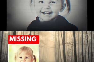 The Empty Chair at the Birthday Table: How a 1977 Party in Pennsylvania Turned into a 47-Year Nightmare Finally Solved by Science