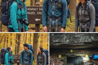 The Whisper in the Woods: How a Strange, Rhythmic Sound Led Rangers to the Campsite of Teens Missing for Four Years