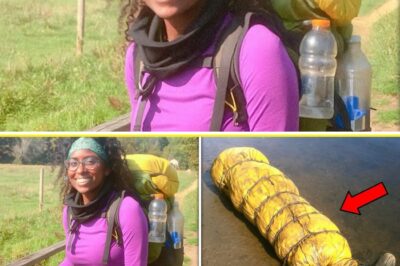The Yellow Sleeping Bag Mystery: How a Chance Discovery in a Lake Solved the Cold Case of a Vanished Hiker and Uncovered a Double Tragedy