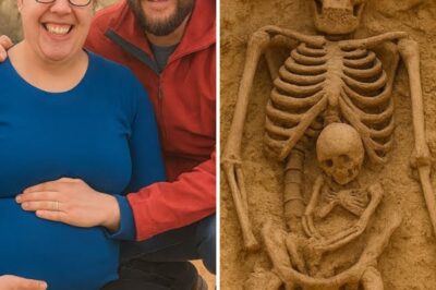 The Silent Desert: How a Hidden Map and a Hiker’s Discovery Exposed the Billion-Dollar Secret That Cost a Young Family Everything