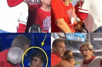 The Foul Ball Fiasco: How ‘Philly’s Karen’ Snatching a Home Run Ball From a Child Launched a Viral Witch Hunt and a $5,000 Apology Challenge