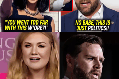 Usha Vance’s Silence: How One Woman’s Refusal to Forgive Redefined a Political Scandal