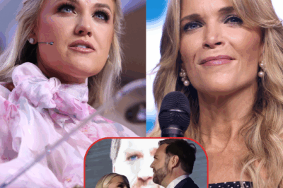 The $400,000 Shadow: Megyn Kelly Broadcast Fuels Fears of Cover-Up as Mysterious LLC Vanishes Post-Charlie Kirk Death