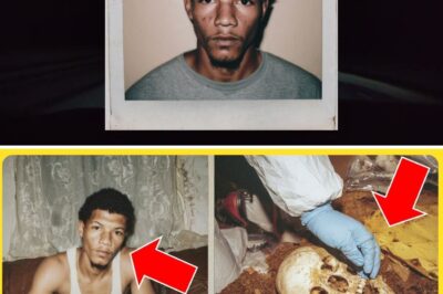 The Silent Tomb in the Living Room: How a $200 Rent Discount and a Decade-Old Foul Smell Exposed a Landlord’s 15-Year-Old Murder