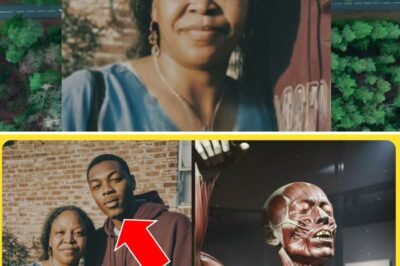 A Mother’s 25-Year Search Ends at Museum Exhibit: The Story of Diana Mitchell and ‘Specimen 7’