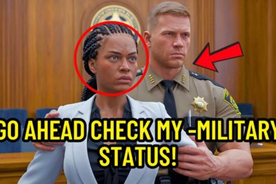 The Silent Seal: How a Decorated Veteran Turned the Tables on a Corrupt Officer in a Stunning Courtroom Showdown