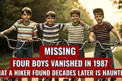 The 28-Year Silence: How a Rusted Tin and a Map Error Revealed the Heartbreaking Fate of Ashland’s Lost Boys