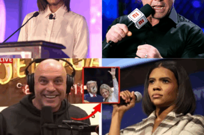 Joe Rogan Endorses Candace Owens’s Conspiracy, Claiming Charlie Kirk Was Silenced Over Missing $40 Million Audit