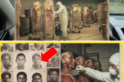 Ranger’s Chilling Discovery in Abandoned Funeral Home Exposes Decades-Old Body Trade and Solves a Personal Family Mystery