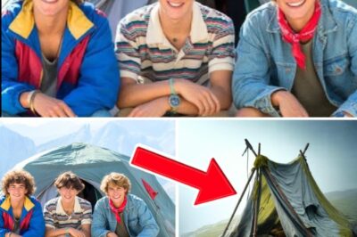 The Unending Echo: How a Battered Blue Tent and a Final Journal Entry Revealed the Unrecovered Story of Three Friends in the Sierra Nevada