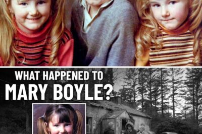 The Vanishing: Inside the Enduring, Unsolved Mystery of Mary Boyle and the Scandal That Divided Ireland
