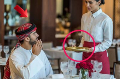 THE HARVARD HIJAB: Billionaire Mocked Waitress with a Million-Dollar Challenge—Her Arabic Response and a Drunken Shocker Changed Everything.