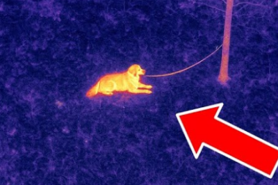 The Perfect Grade, The Perfect Prison: Thermal Drone Leads to Missing Girl’s Teacher and a Secret Basement Classroom