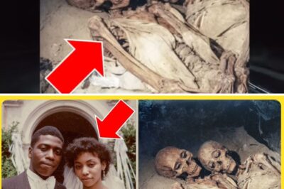 A HOTEL ROOM WAS “OUT OF ORDER” FOR 41 YEARS — RENOVATION FOUND A COUPLE WHO NEVER CHECKED OUT