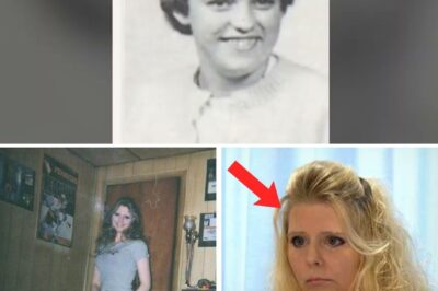 Vanished into Thin Air: Three Incredible Stories of People Who Reappeared Years Later with Shocking Truths