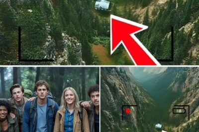 They Vanished In The Woods, 5 Years Later Drone Spots Somthing Unbelievable….