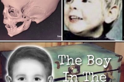 After 65 Years of Silence, The Identity of “The Boy in the Blue Box” Is Finally Revealed, Solving Philadelphia’s Oldest Mystery
