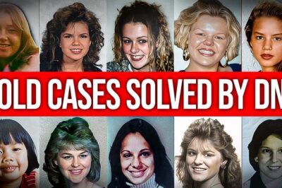 20 Cold Cases FINALLY Solved By DNA | True Crime