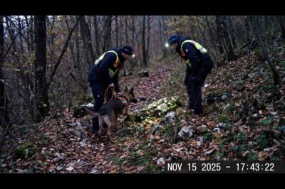 The Deadly Truth About Vanishing People in National Parks