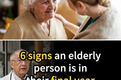 6 signs an elderly person is in their final year and what every senior should know!