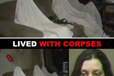 The Silent House on St. Paul Street: How a Quiet Neighborhood Hid a Dark Secret Behind Drawn Curtains and What Police Found Inside Will Haunt You Forever…