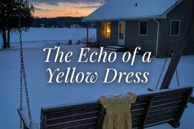 The Echo of a Yellow Dress and the Long Winter Where a Hollow Man Discovered that Saving a Life is the Only Way to Save Your Own