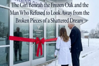 The Girl Beneath the Frozen Oak and the Man Who Refused to Look Away from the Broken Pieces of a Shattered Dream