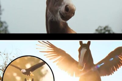 The Pegasus Paradox: How a Tiny Eagle and a Giant Horse Just Saved the Super Bowl Two Weeks Early