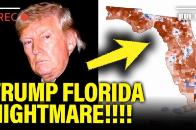 The Price of Decency: A Florida Politician’s Reign of Terror and the Woman Who Fought Back