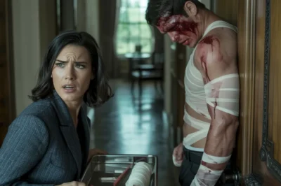 The Nurse and the Don: A Seattle Underworld Saga