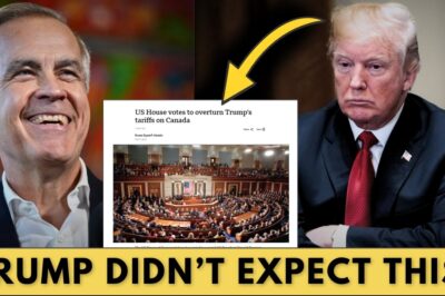 The Last Hammer Blow